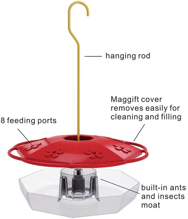 Hummingbird Feeder (16oz)