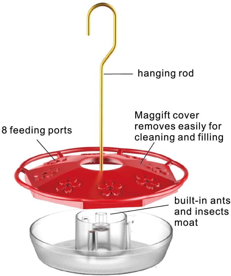 12 oz Hanging Hummingbird Feeder with 8 Feeding Ports