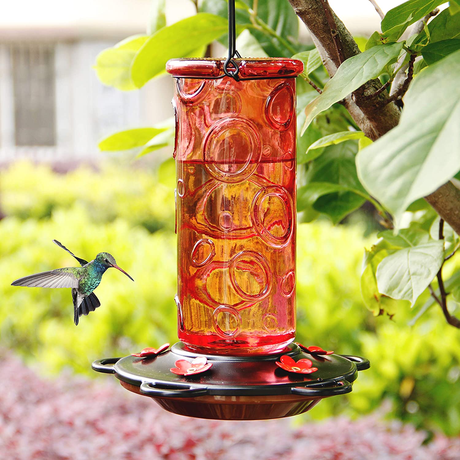 28 oz Glass Hummingbird Feeders for Outdoors, Wild Bird Feeder with 5 Feeding Ports, Metal Handle Hanging for Outdoor Garden Tree Yard, Red