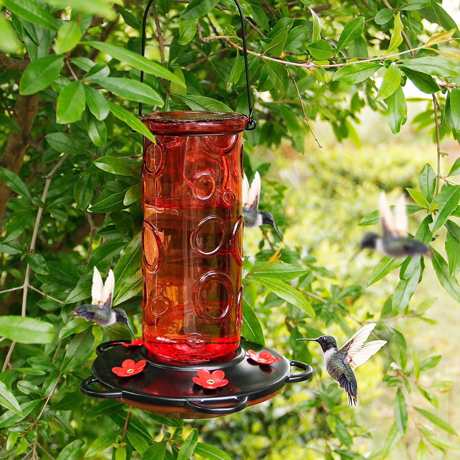 28 oz Glass Hummingbird Feeders for Outdoors, Wild Bird Feeder with 5 Feeding Ports, Metal Handle Hanging for Outdoor Garden Tree Yard, Red
