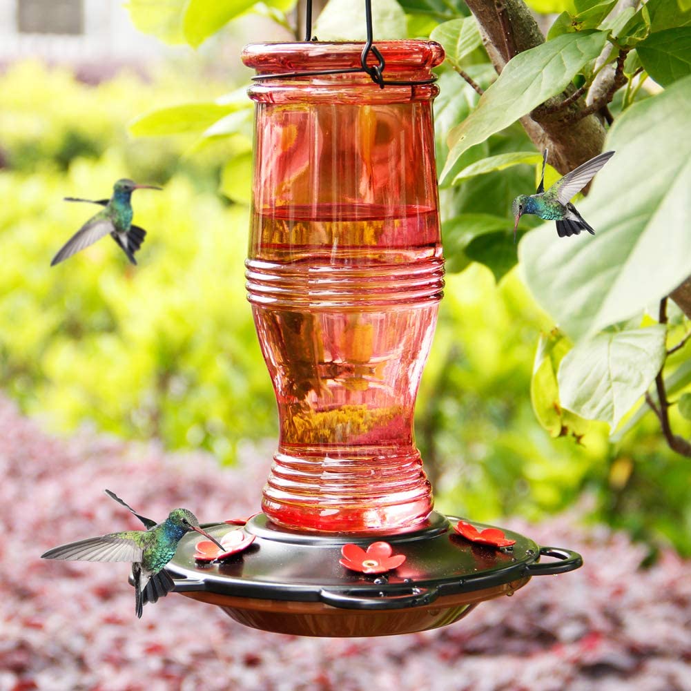 Glass Hummingbird Feeders for Outdoors, 26 oz Wild Bird Feeder with 5 Feeding Ports, Metal Handle Hanging for Garden Tree Yard Outside Decoration, Red