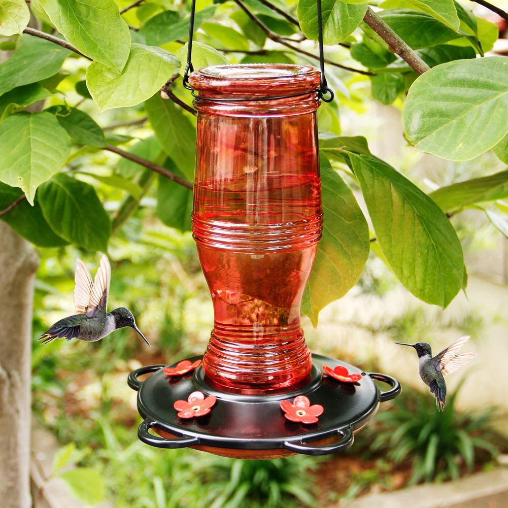 Glass Hummingbird Feeders for Outdoors, 26 oz Wild Bird Feeder with 5 Feeding Ports, Metal Handle Hanging for Garden Tree Yard Outside Decoration, Red