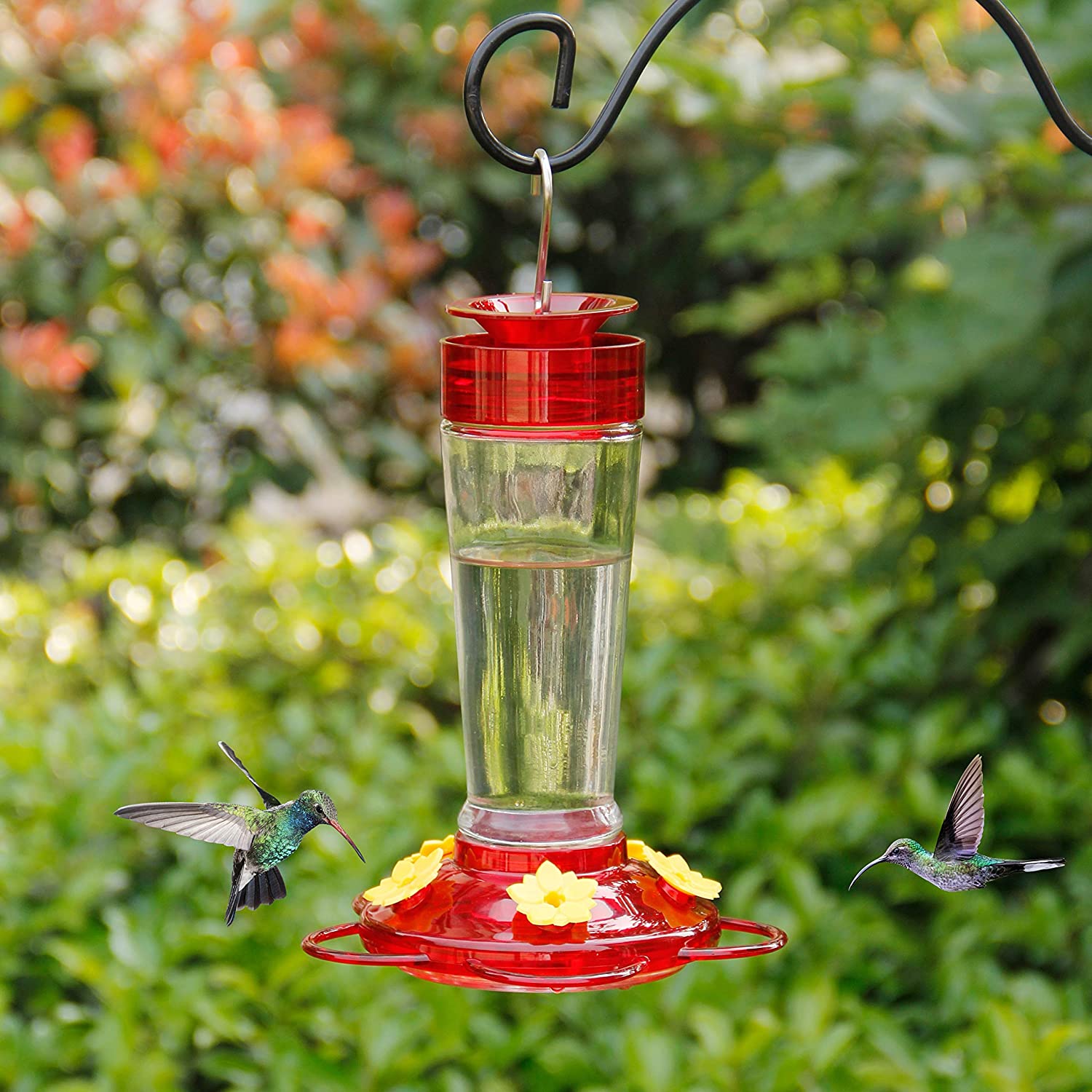 Hummingbird Feeder, Glass Bottle Bird Feeders, 5 Feeding Ports, 10-Ounce Nectar Capacity