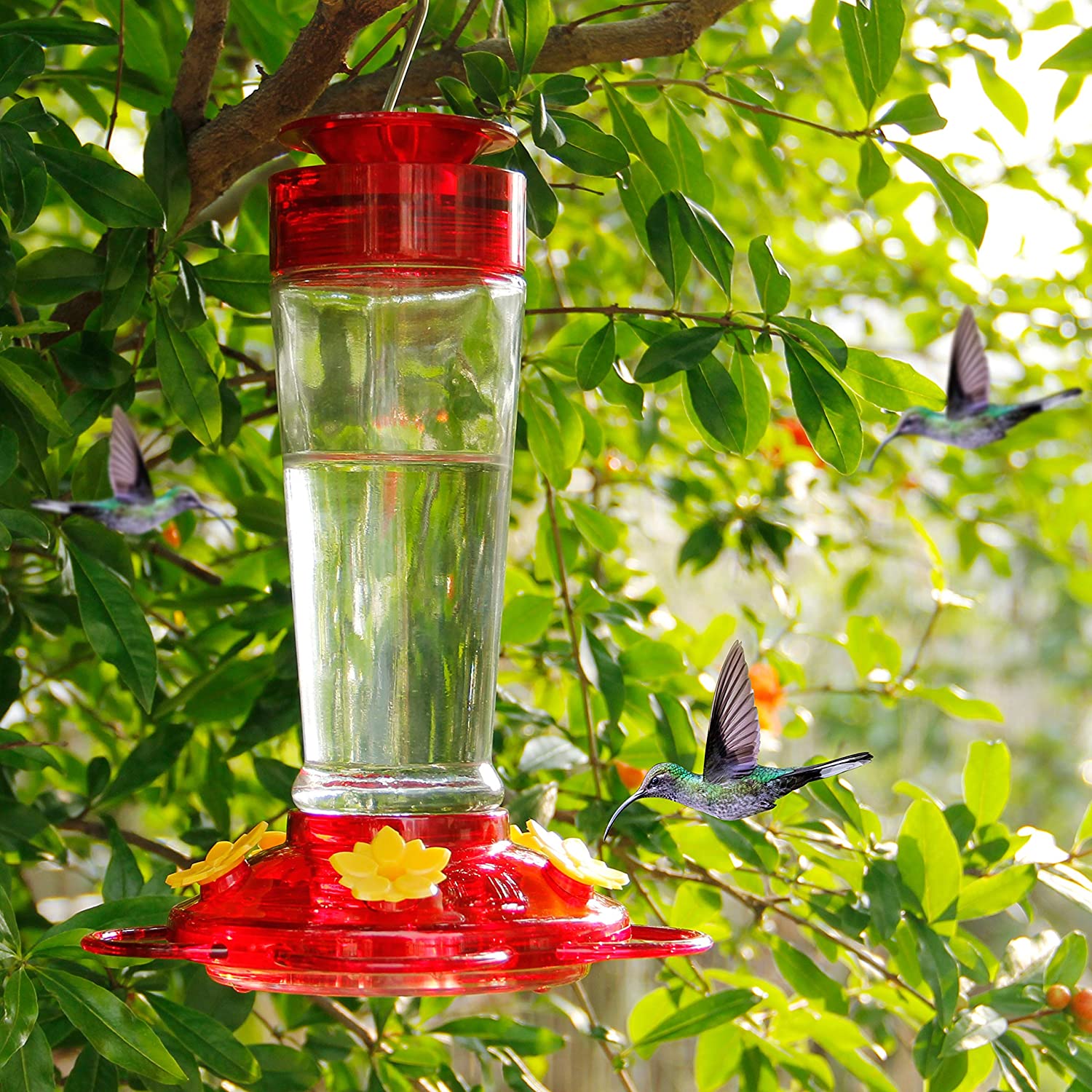 Hummingbird Feeder, Glass Bottle Bird Feeders, 5 Feeding Ports, 10-Ounce Nectar Capacity