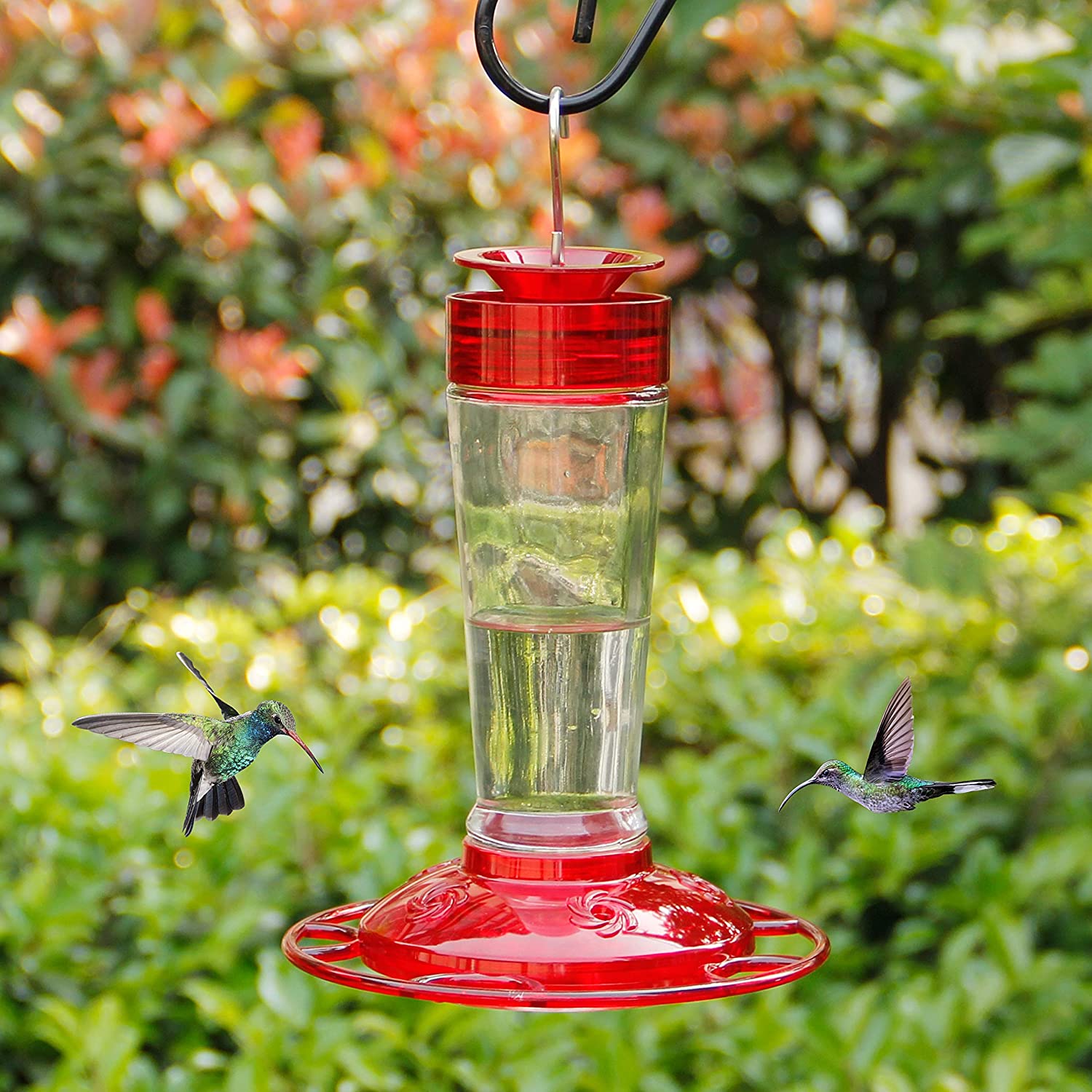 Hummingbird Feeder, Glass Bottle Bird Feeders, 5 Feeding Ports, 11-Ounce Nectar Capacity (Red)